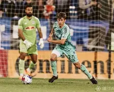 荷兰队全攻全守阵型