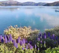 瓦朗谢纳客场不敌图卢兹,遭遇挑战了吗 瓦朗谢纳客场不敌图卢兹,遭遇挑战了吗